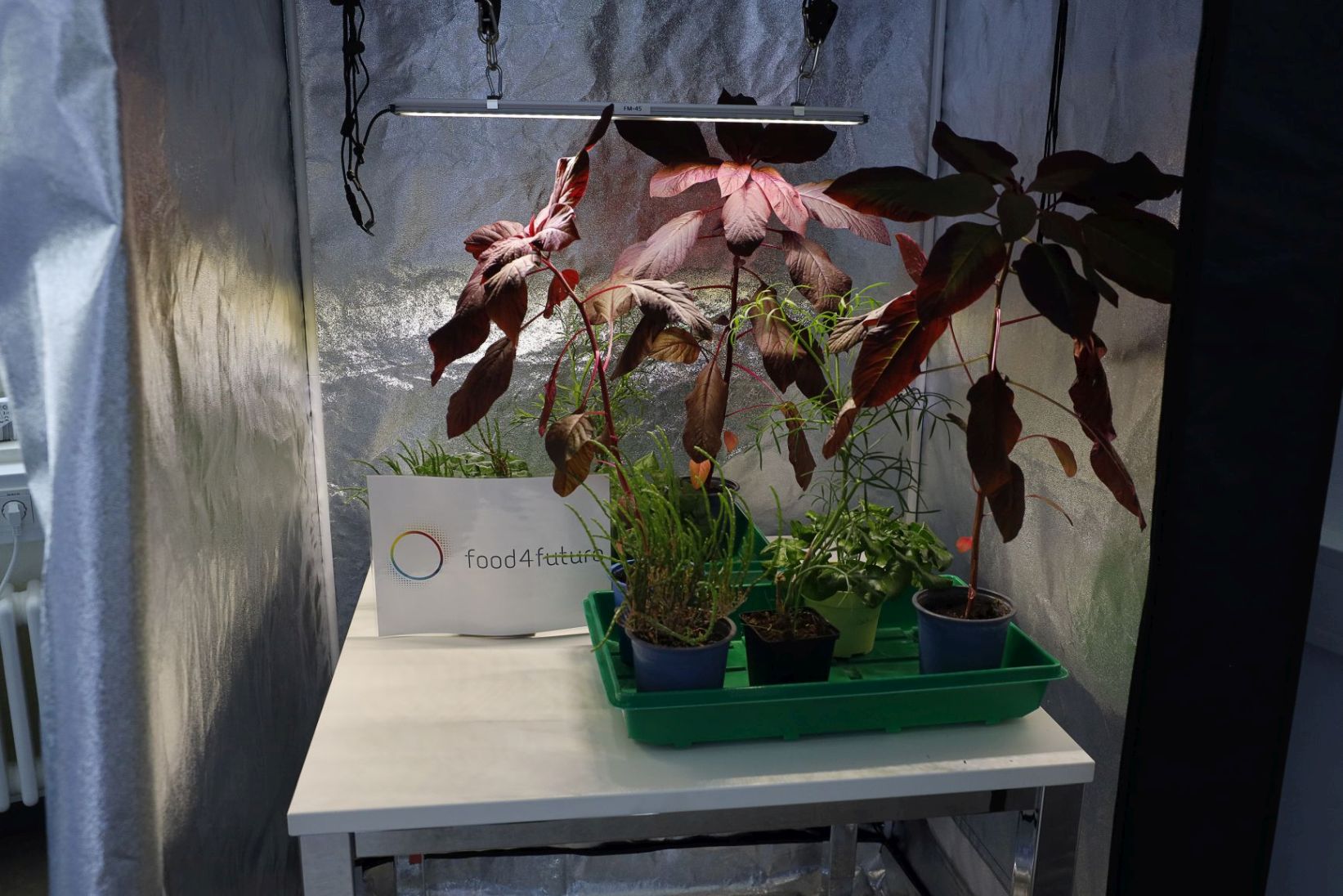 K20250524-420205-Campustag