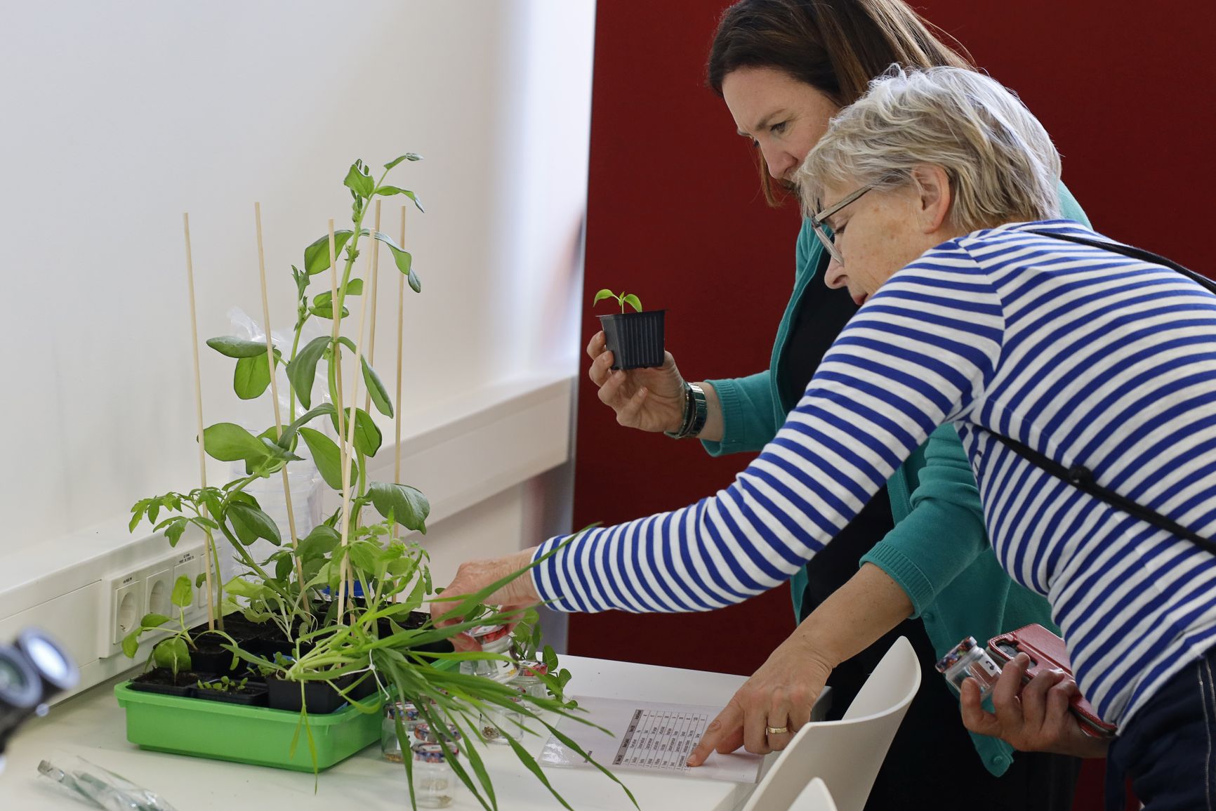 K20250524-420427-Campustag